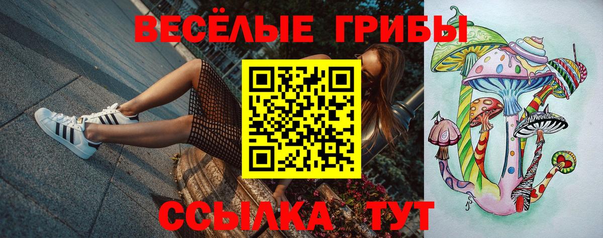 Псилоцибиновые грибы мухоморы Владикавказ